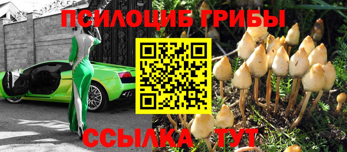 Пенза  Галлюциногенные грибы GOLDEN TEACHER  Вход с VPN 